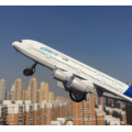 DWI Simulation 4CH RC Airplane Airbus A380 With Low Price